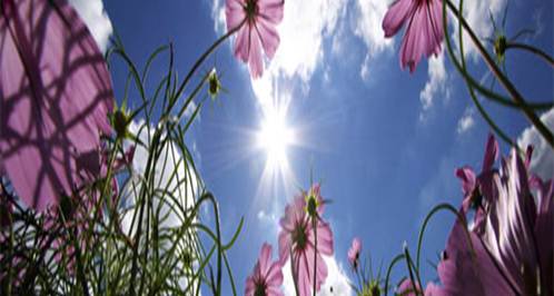 ber mich www.nachhausefinden.at