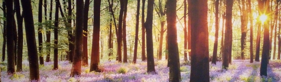 Kontakt www.nachhausefinden.at